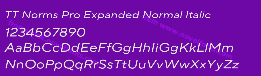 TT Norms Pro Expanded Normal ItalicPreview TT Norms Pro Expanded Normal ItalicPreview