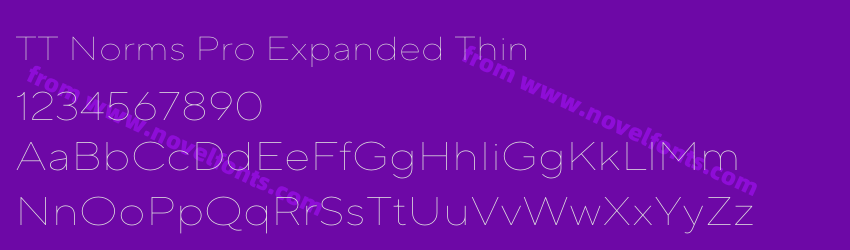 TT Norms Pro Expanded ThinPreview TT Norms Pro Expanded ThinPreview