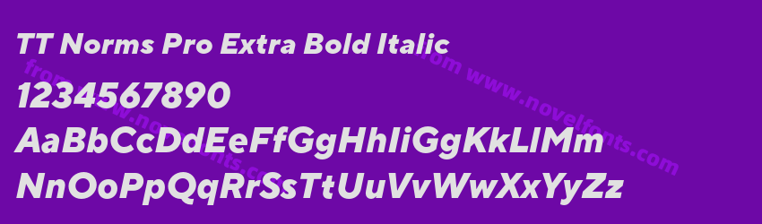 TT Norms Pro Extra Bold ItalicPreview TT Norms Pro Extra Bold ItalicPreview