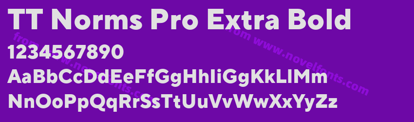 TT Norms Pro Extra BoldPreview TT Norms Pro Extra BoldPreview