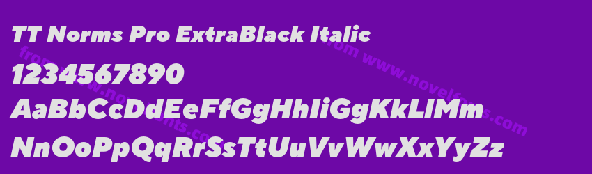 TT Norms Pro ExtraBlack ItalicPreview TT Norms Pro ExtraBlack ItalicPreview