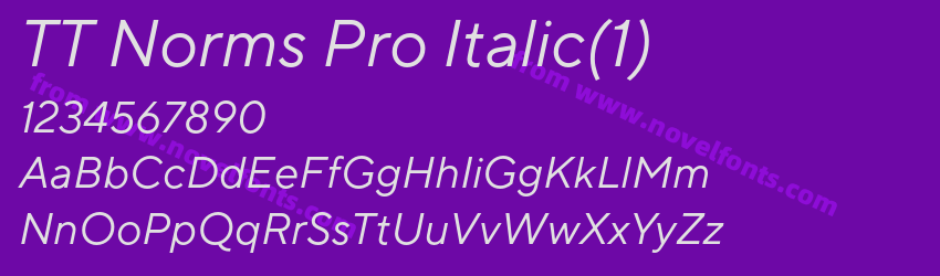 TT Norms Pro Italic(1)Preview TT Norms Pro Italic(1)Preview