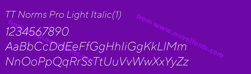 TT Norms Pro Light Italic(1)Preview TT Norms Pro Light Italic(1)Preview