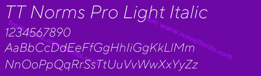 TT Norms Pro Light ItalicPreview TT Norms Pro Light ItalicPreview