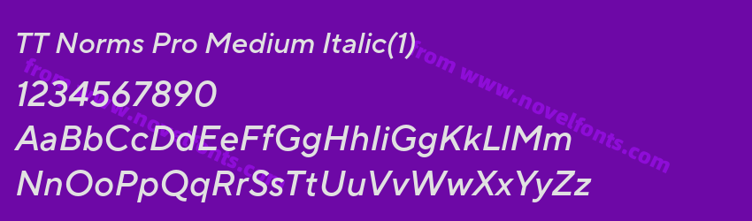 TT Norms Pro Medium Italic(1)Preview TT Norms Pro Medium Italic(1)Preview