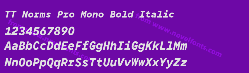 TT Norms Pro Mono Bold ItalicPreview TT Norms Pro Mono Bold ItalicPreview