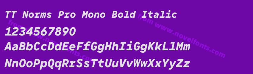 TT Norms Pro Mono Bold ItalicPreview TT Norms Pro Mono Bold ItalicPreview