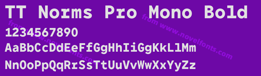 TT Norms Pro Mono BoldPreview TT Norms Pro Mono BoldPreview