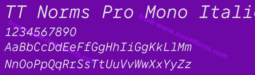 TT Norms Pro Mono ItalicPreview TT Norms Pro Mono ItalicPreview