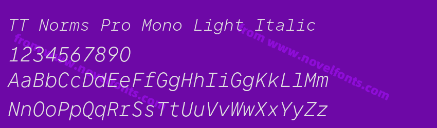 TT Norms Pro Mono Light ItalicPreview TT Norms Pro Mono Light ItalicPreview