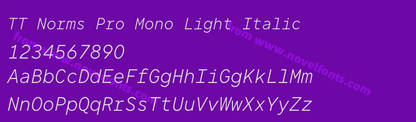 TT Norms Pro Mono Light ItalicPreview TT Norms Pro Mono Light ItalicPreview