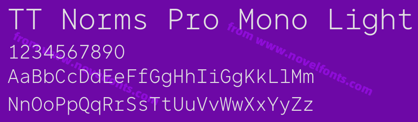 TT Norms Pro Mono LightPreview TT Norms Pro Mono LightPreview