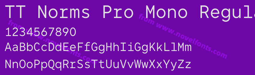 TT Norms Pro Mono RegularPreview TT Norms Pro Mono RegularPreview
