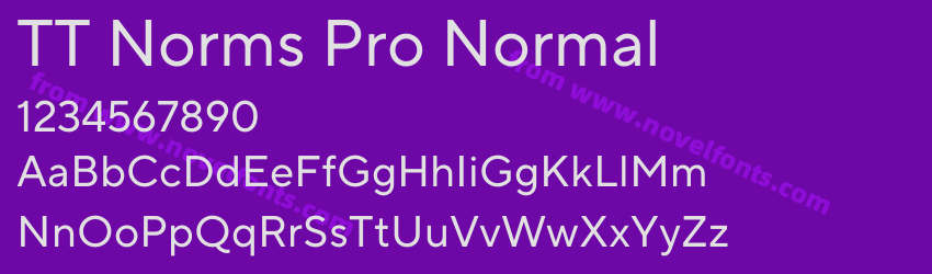TT Norms Pro NormalPreview TT Norms Pro NormalPreview