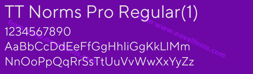 TT Norms Pro Regular(1)Preview TT Norms Pro Regular(1)Preview