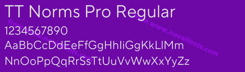 TT Norms Pro RegularPreview TT Norms Pro RegularPreview