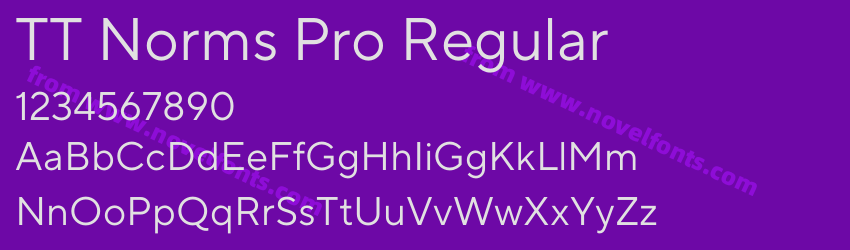 TT Norms Pro RegularPreview TT Norms Pro RegularPreview