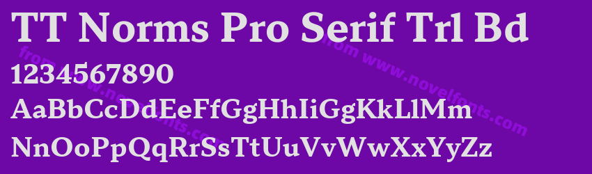 TT Norms Pro Serif Trl BdPreview TT Norms Pro Serif Trl BdPreview