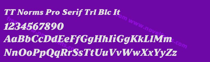 TT Norms Pro Serif Trl Blc ItPreview TT Norms Pro Serif Trl Blc ItPreview