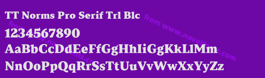 TT Norms Pro Serif Trl BlcPreview TT Norms Pro Serif Trl BlcPreview