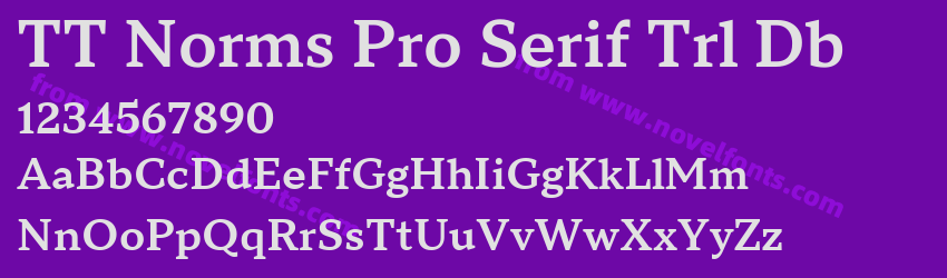 TT Norms Pro Serif Trl DbPreview TT Norms Pro Serif Trl DbPreview