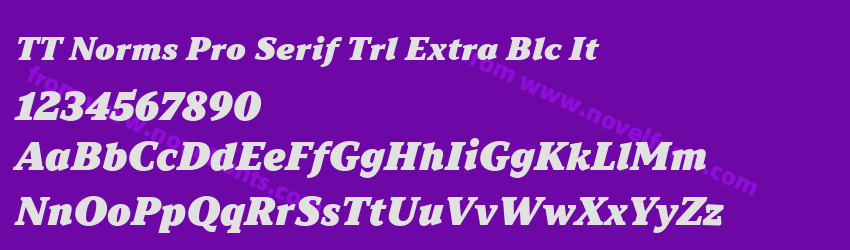 TT Norms Pro Serif Trl Extra Blc ItPreview TT Norms Pro Serif Trl Extra Blc ItPreview