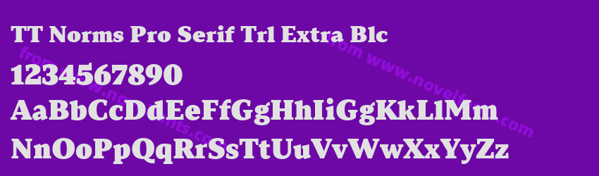 TT Norms Pro Serif Trl Extra BlcPreview TT Norms Pro Serif Trl Extra BlcPreview