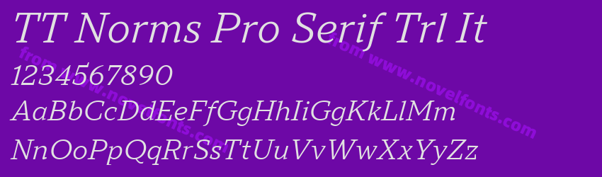 TT Norms Pro Serif Trl ItPreview TT Norms Pro Serif Trl ItPreview