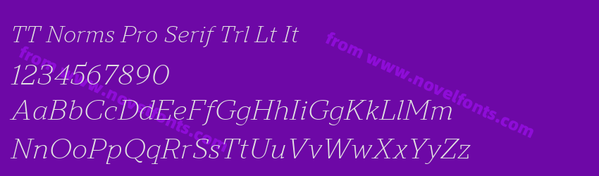 TT Norms Pro Serif Trl Lt ItPreview TT Norms Pro Serif Trl Lt ItPreview