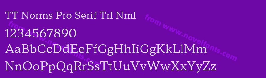 TT Norms Pro Serif Trl NmlPreview TT Norms Pro Serif Trl NmlPreview