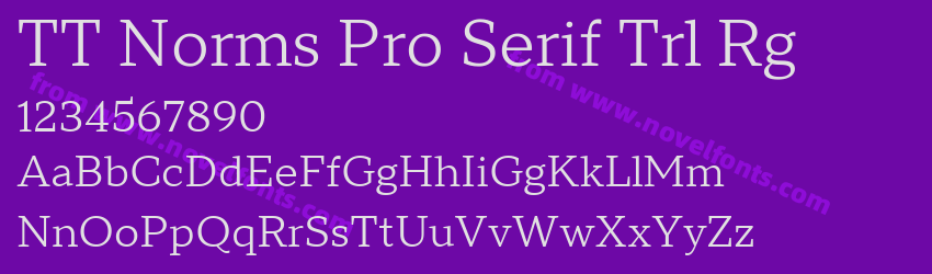 TT Norms Pro Serif Trl RgPreview TT Norms Pro Serif Trl RgPreview