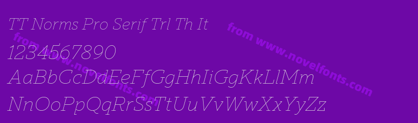 TT Norms Pro Serif Trl Th ItPreview TT Norms Pro Serif Trl Th ItPreview