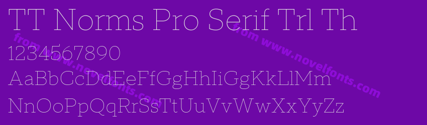 TT Norms Pro Serif Trl ThPreview TT Norms Pro Serif Trl ThPreview