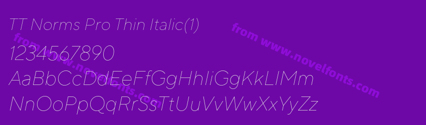 TT Norms Pro Thin Italic(1)Preview TT Norms Pro Thin Italic(1)Preview
