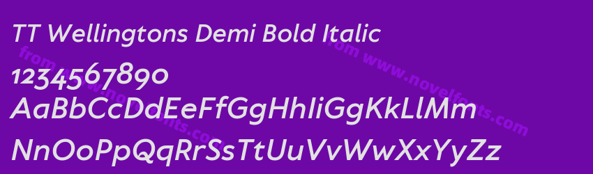TT Wellingtons Demi Bold ItalicPreview TT Wellingtons Demi Bold ItalicPreview