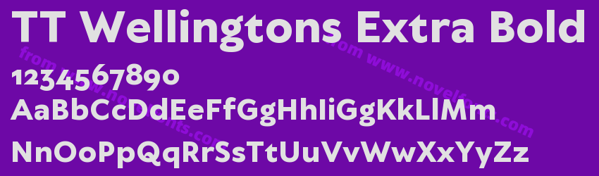 TT Wellingtons Extra BoldPreview TT Wellingtons Extra BoldPreview