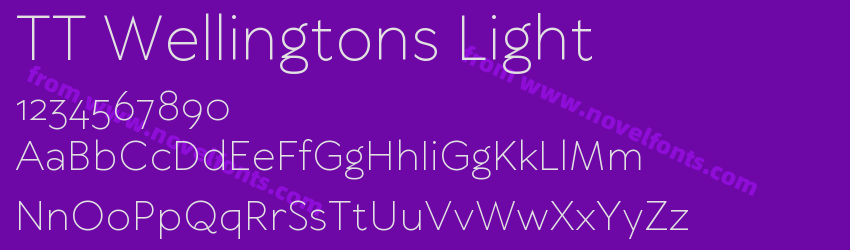TT Wellingtons LightPreview TT Wellingtons LightPreview