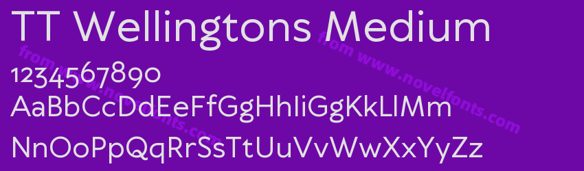 TT Wellingtons MediumPreview TT Wellingtons MediumPreview