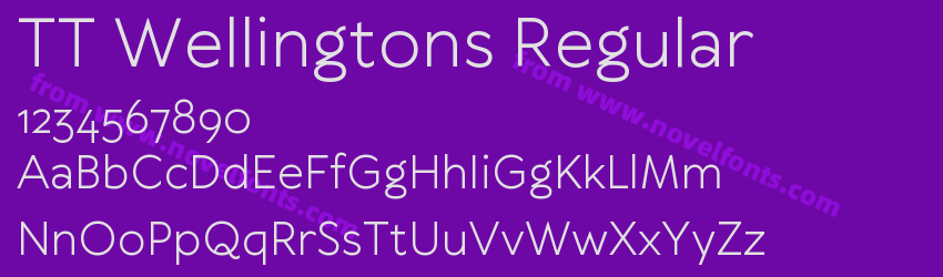 TT Wellingtons RegularPreview TT Wellingtons RegularPreview