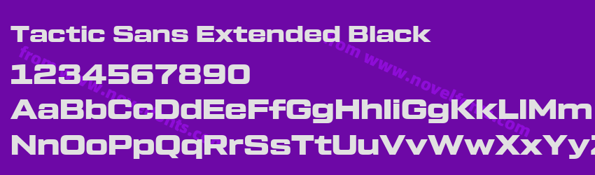 Tactic Sans Extended BlackPreview Tactic Sans Extended BlackPreview