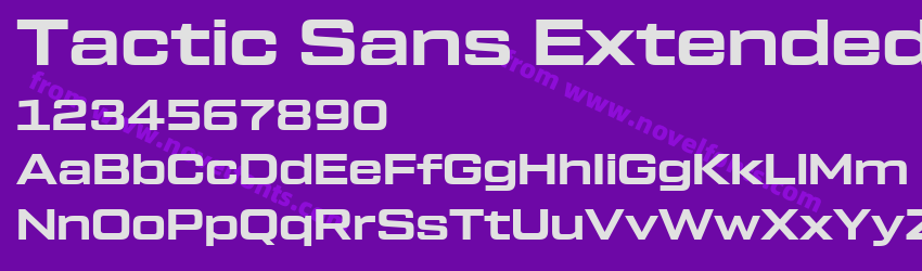 Tactic Sans Extended BoldPreview Tactic Sans Extended BoldPreview