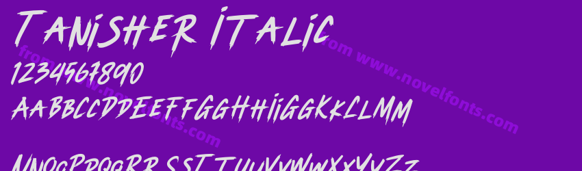 Tanisher ItalicPreview Tanisher ItalicPreview
