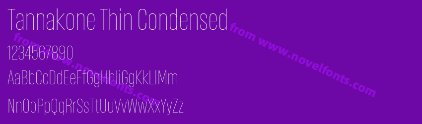 Tannakone Thin CondensedPreview Tannakone Thin CondensedPreview