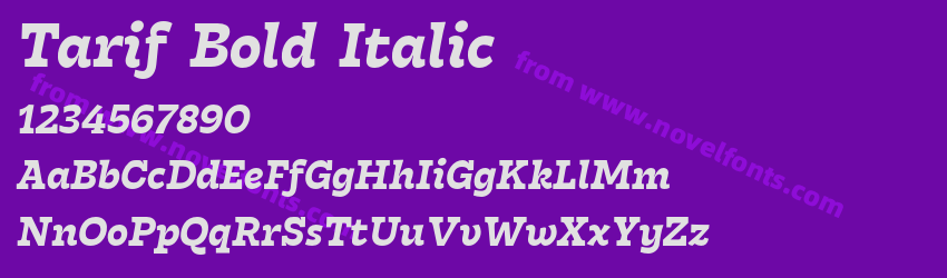 Tarif Bold ItalicPreview Tarif Bold ItalicPreview
