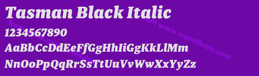 Tasman Black ItalicPreview Tasman Black ItalicPreview