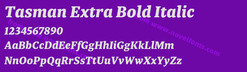 Tasman Extra Bold ItalicPreview Tasman Extra Bold ItalicPreview