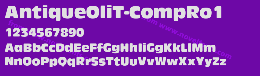 AntiqueOliT-CompRo1Preview