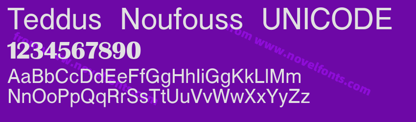 Teddus Noufouss UNICODEPreview
