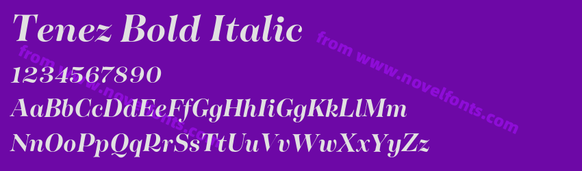 Tenez Bold ItalicPreview