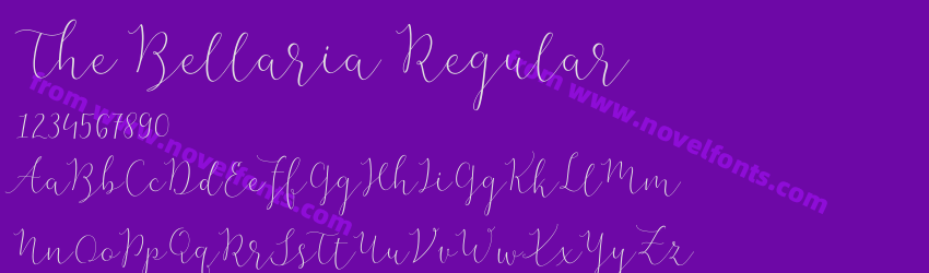 The Bellaria RegularPreview